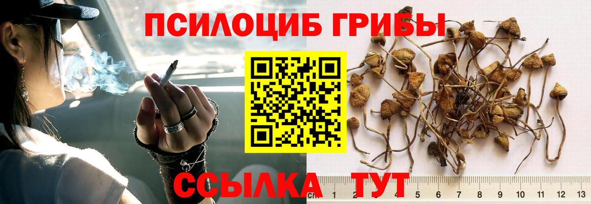 Псилоцибиновые грибы Psilocybine cubensis  Вход с VPN  Галлюциногенные грибы MAGIC MUSHROOMS  Богородск 